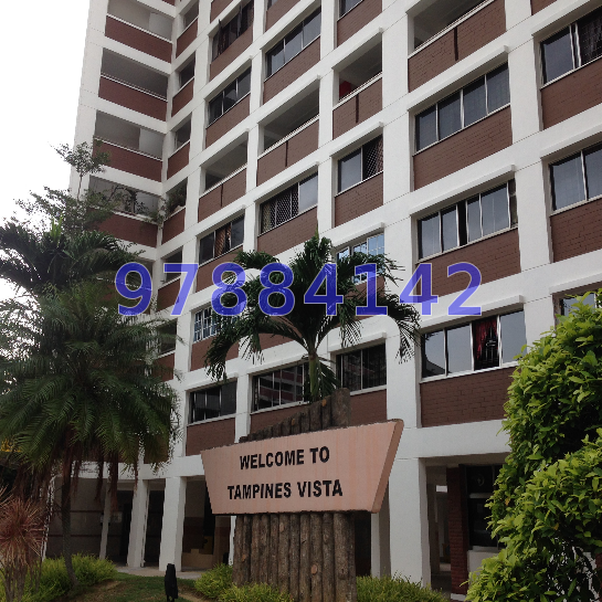 Blk 866 Tampines Street 83 (Tampines), HDB 4 Rooms #12696912